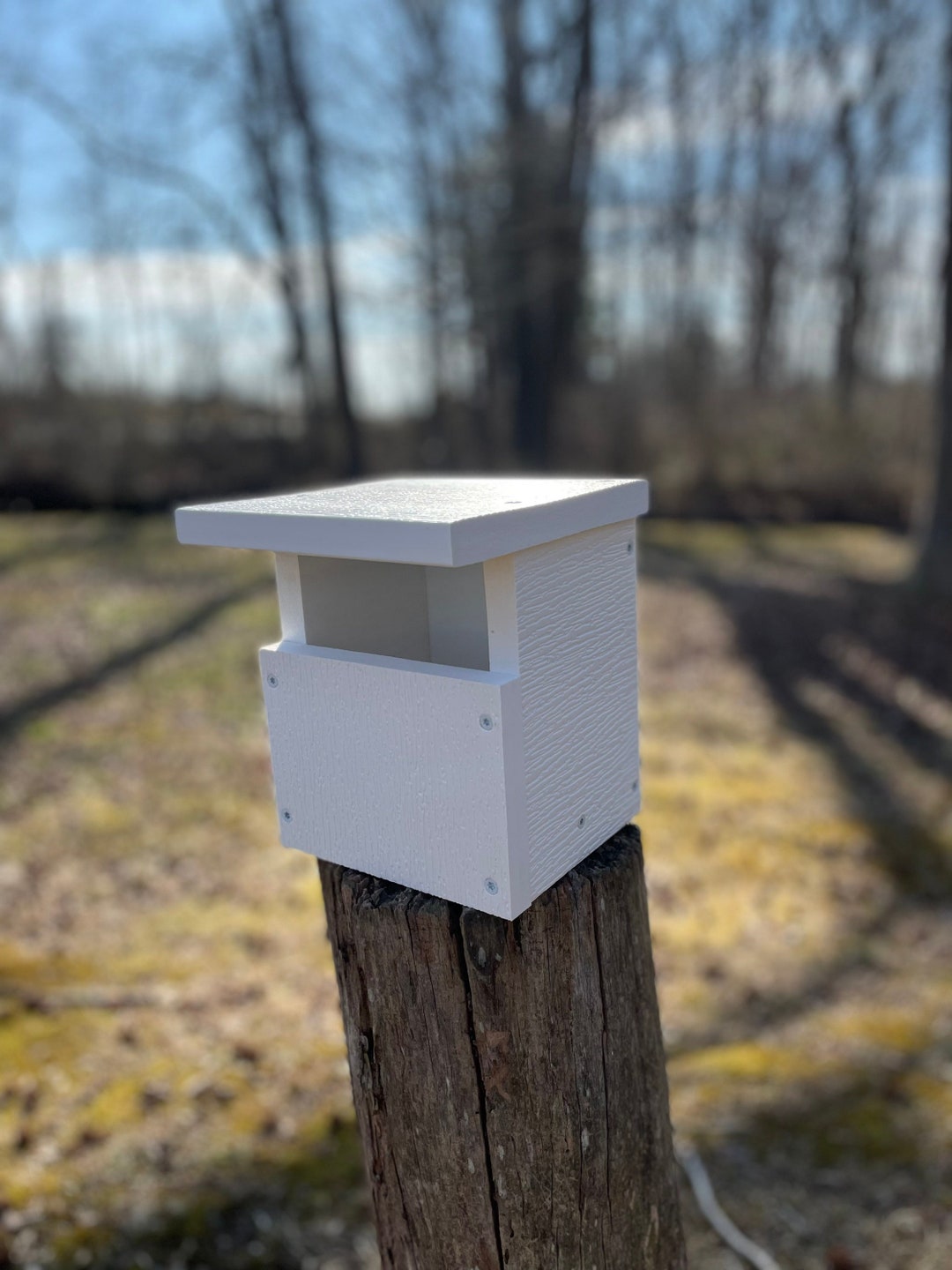 Carolina Wren Nest Box Etsy