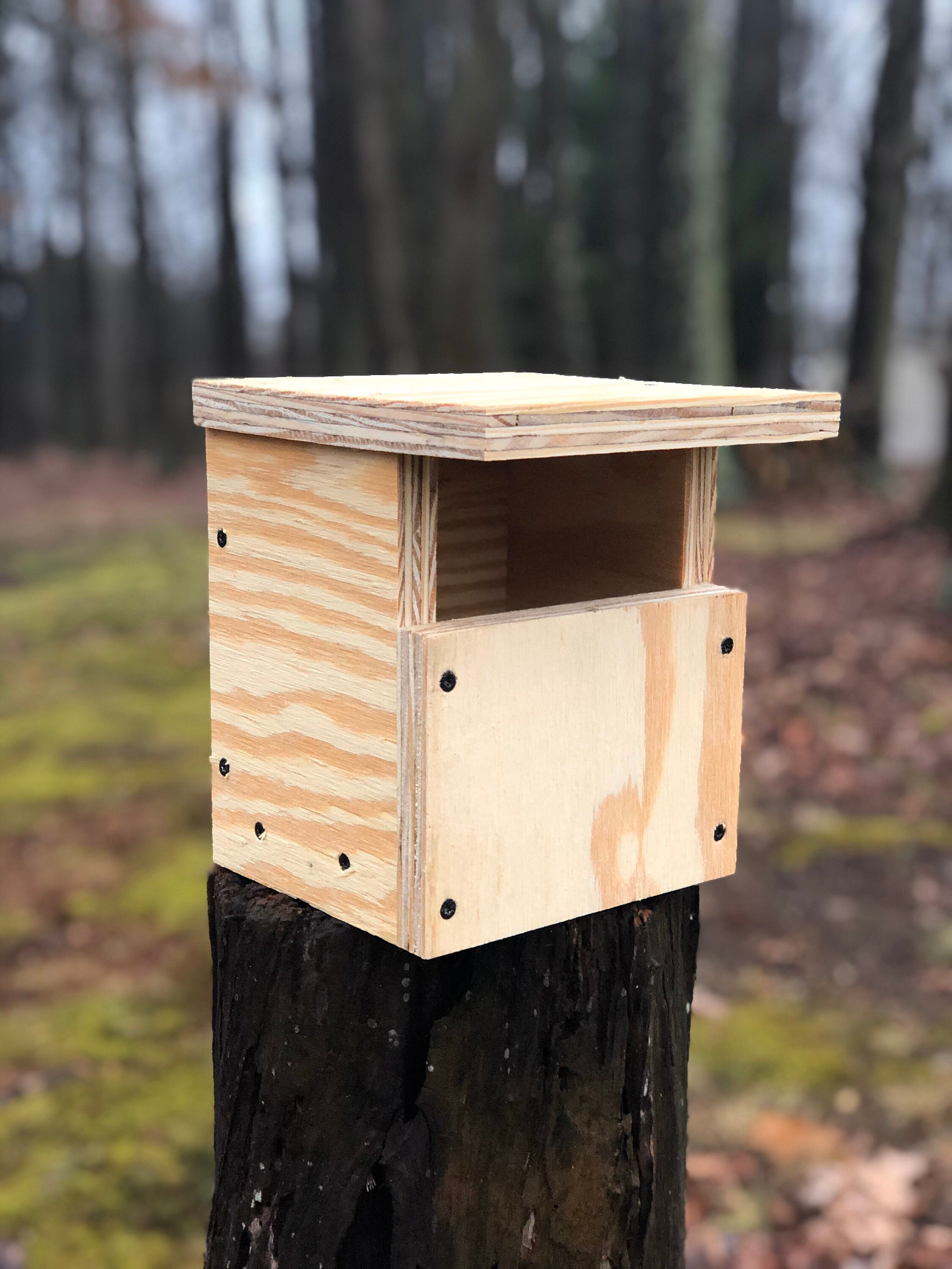 Carolina Wren Open Cavity Nest Box Etsy