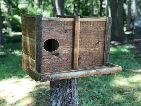 Nichoir à Chouette En Bois Carbonisé 37x31x22 Cm - Abri étanche Pour Oiseaux Et écureuils - Décoration Extérieure Jardin - 3