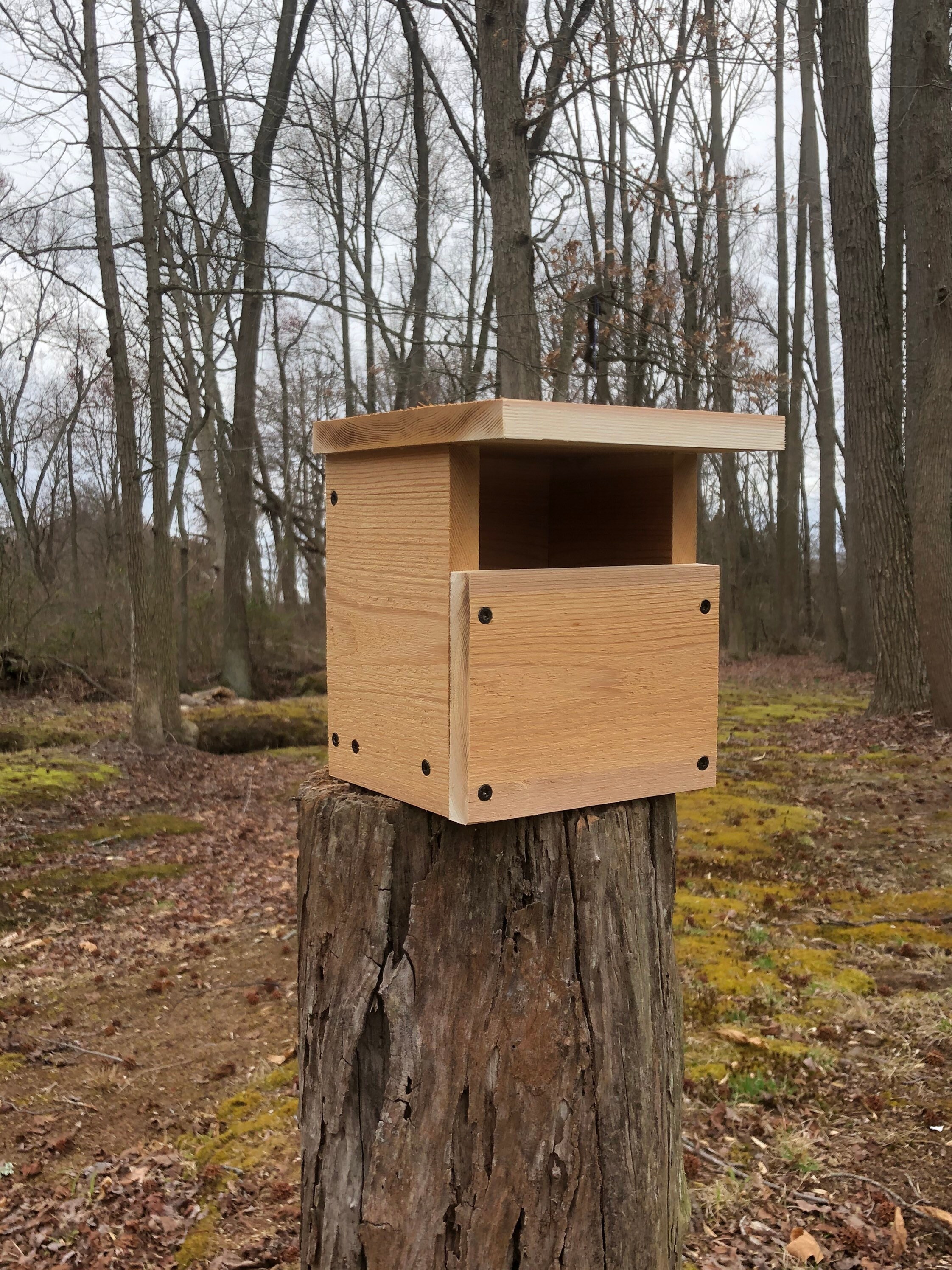 Carolina Wren Open Cavity Nest Box Etsy