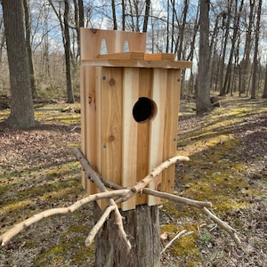 Ready to Assemble: Screech-owls Nest Box Kit - Etsy