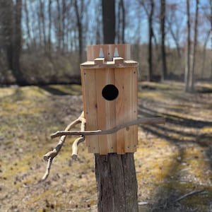Screech-Owls Nest Box (Eastern & Western)