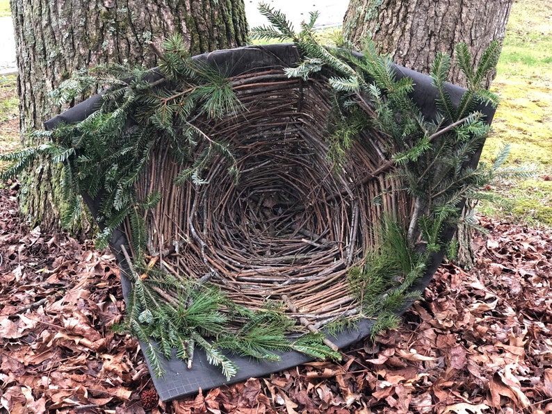 Great Horned Owl & Great Gray Owl Open Cavity Nest Cone Etsy