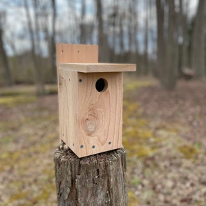Bluebird & Tree Swallow Birdhouses