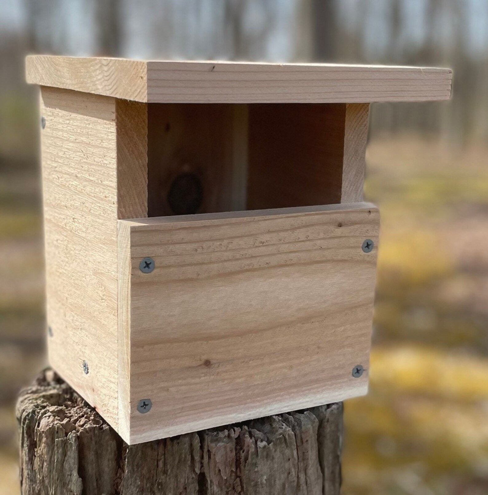 Carolina Wren Open Cavity Nest Box Etsy