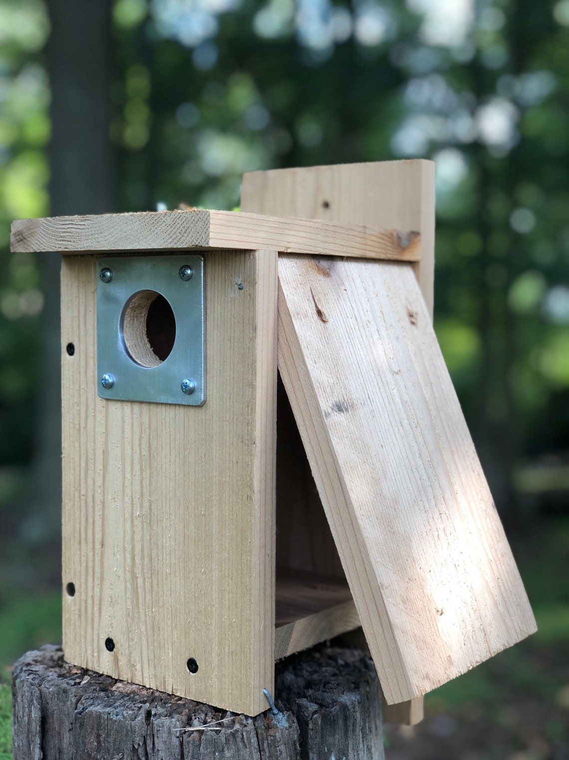 Bluebird & Tree Swallow Birdhouses Etsy
