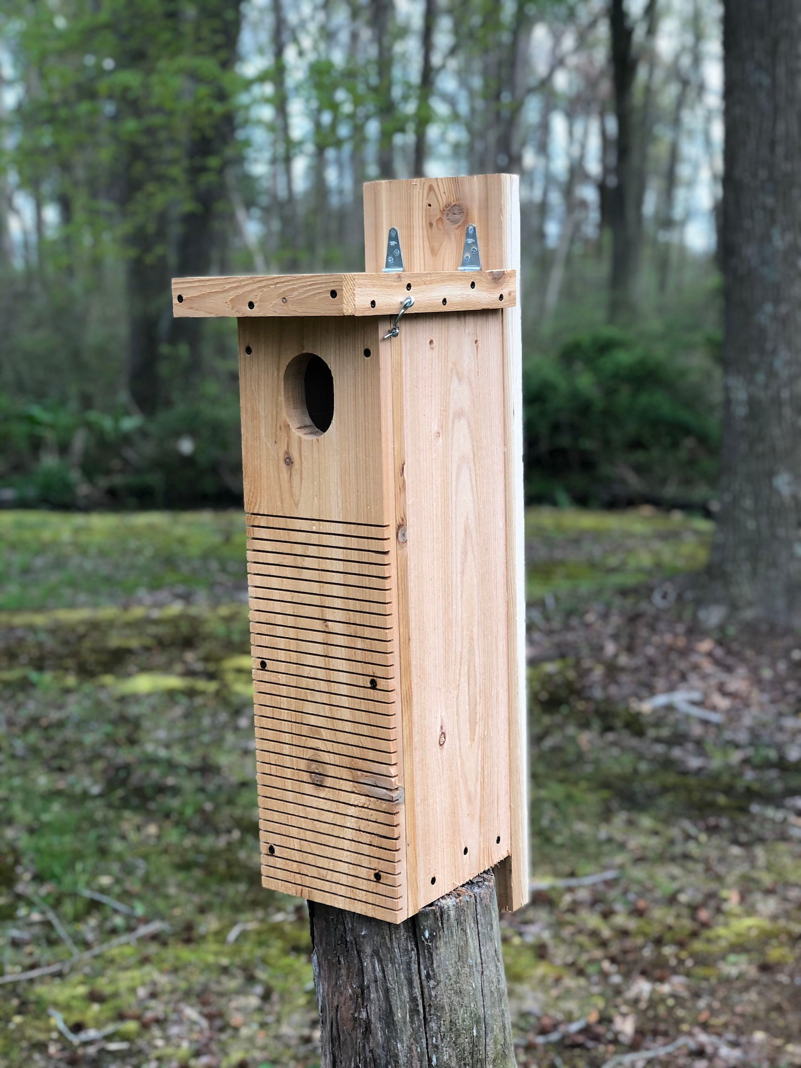 Northern Flicker Nest Box Etsy