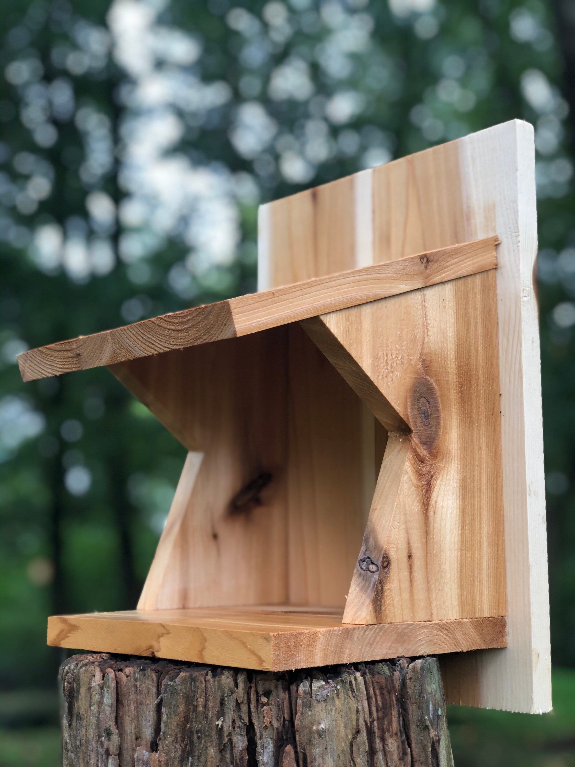 Eastern Phoebe Barn Swallow & American Robin Nest Shelf Etsy