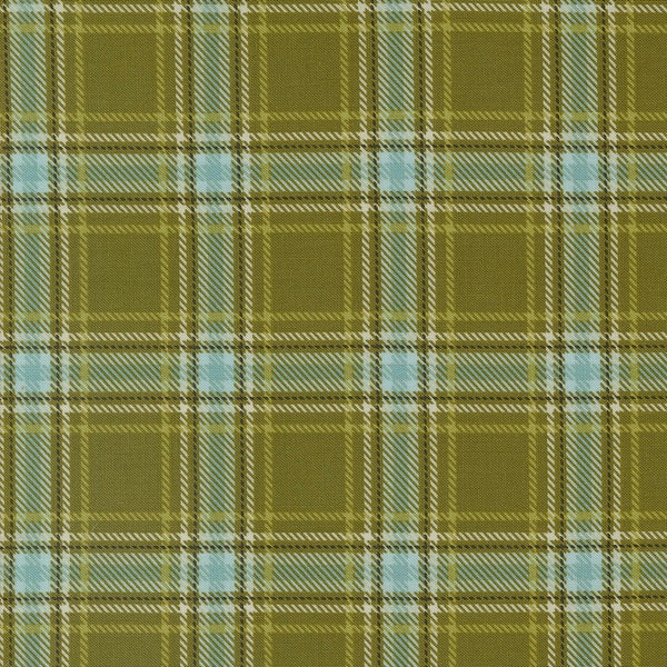 The Great Outdoors - Cozy Plaid  - Stacy Iest Hsu - Moda Fabrics - 100% Cotton - Multiples Cut Continuously