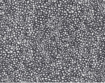 Create Scattered Dots - Alli K Design - Moda Fabrics - 3 Color Options - 100% Cotton