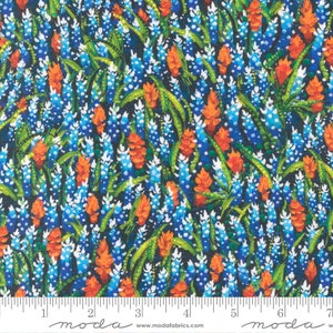 Enchanted Dreamscapes Wildflower Field - Wildflower - Ira Kennedy - Moda Fabrics - 100% Cotton - Multiples will be cut continuously