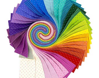 True Colors Tiny Coordinates Design Roll - TULA PINK - Free Spirit - 42 - 2.5" Strips - 100% Cotton Precut Quilting Fabric
