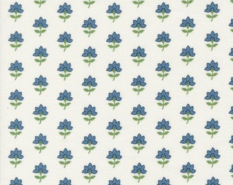 Shoreline - Coastal Florals - 4 Color Options  - Camille Roskelley - Moda Fabrics - 100% Cotton - Multiples Cut Continuously