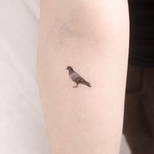 Rock Dove Temporary Tattoo (Set of 3)