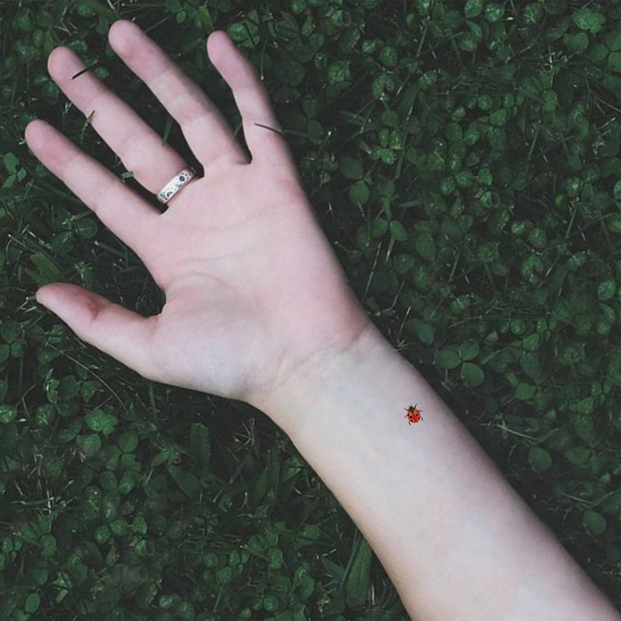 Small ladybug tattoo on the toe