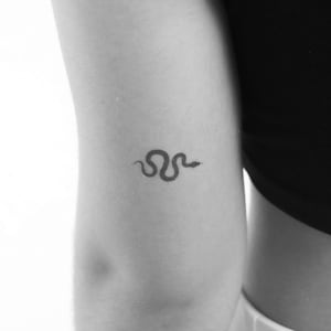May include: A small black snake tattoo on a person's arm.