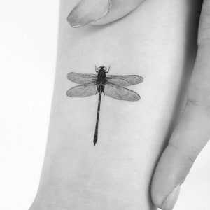 Illustrative Dragonfly Temporary Tattoo (Set of 3)