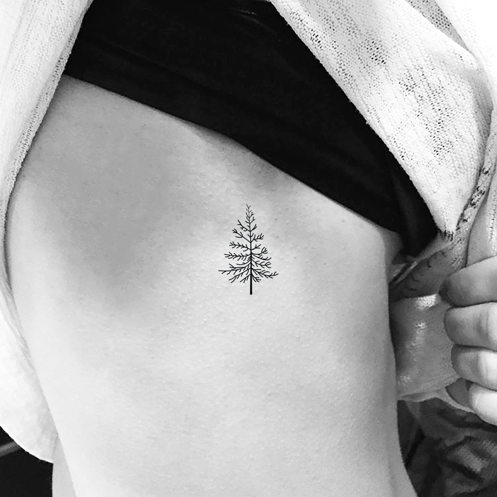 The Meaning Behind Pine Tree Tattoos A Symbol of Strength and Resilience   Impeccable Nest