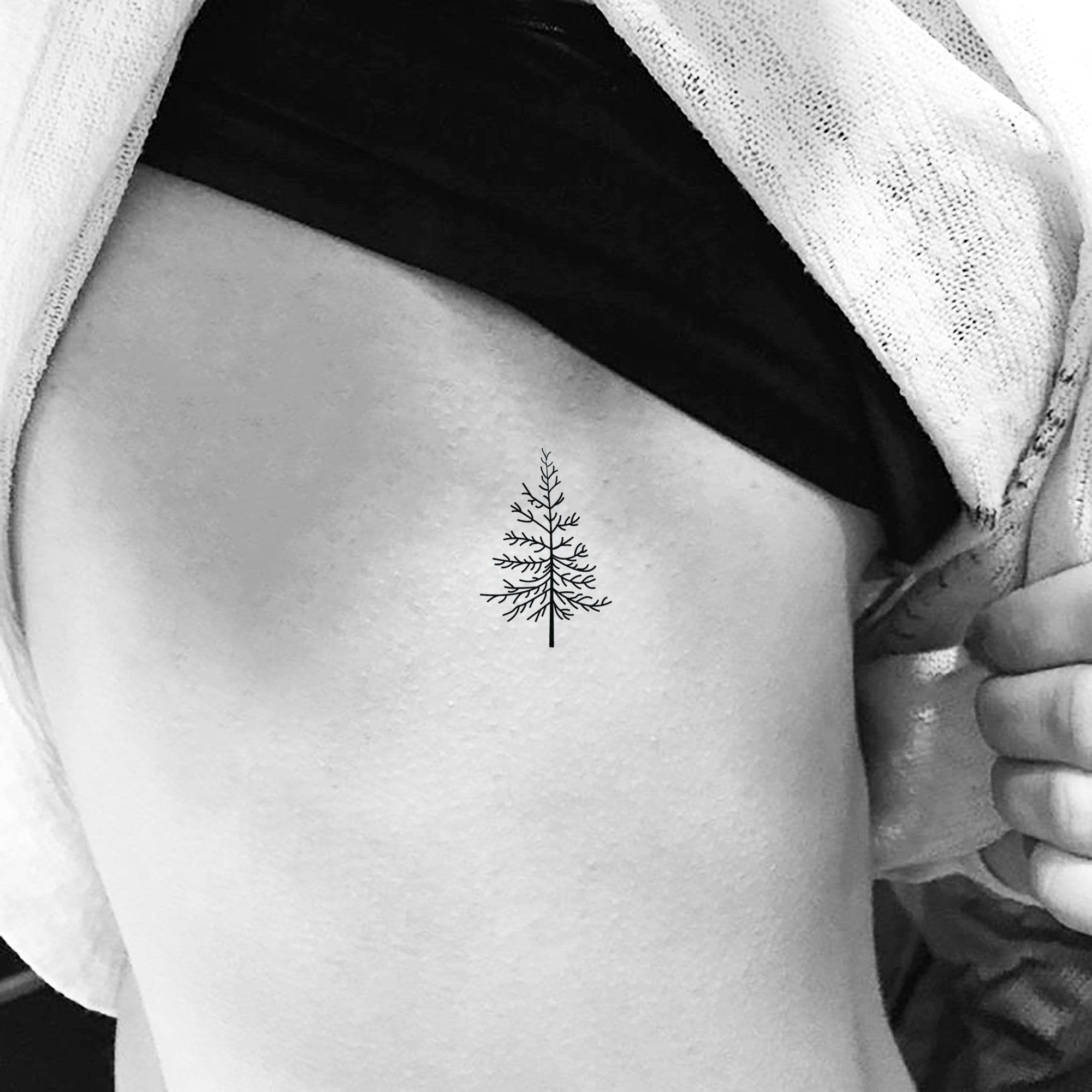 50 Pine Tree Tattoos and Ideas for Nature Lovers  Tats n Rings