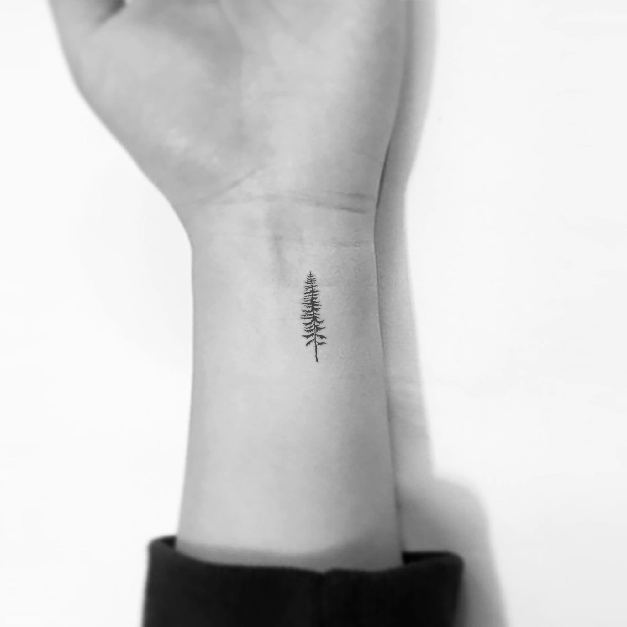 Small Pine Tree Temporary Tattoo set of 3 - Etsy Norway Small Pine Tree Temporary Tattoo set of 3 - Etsy Norway