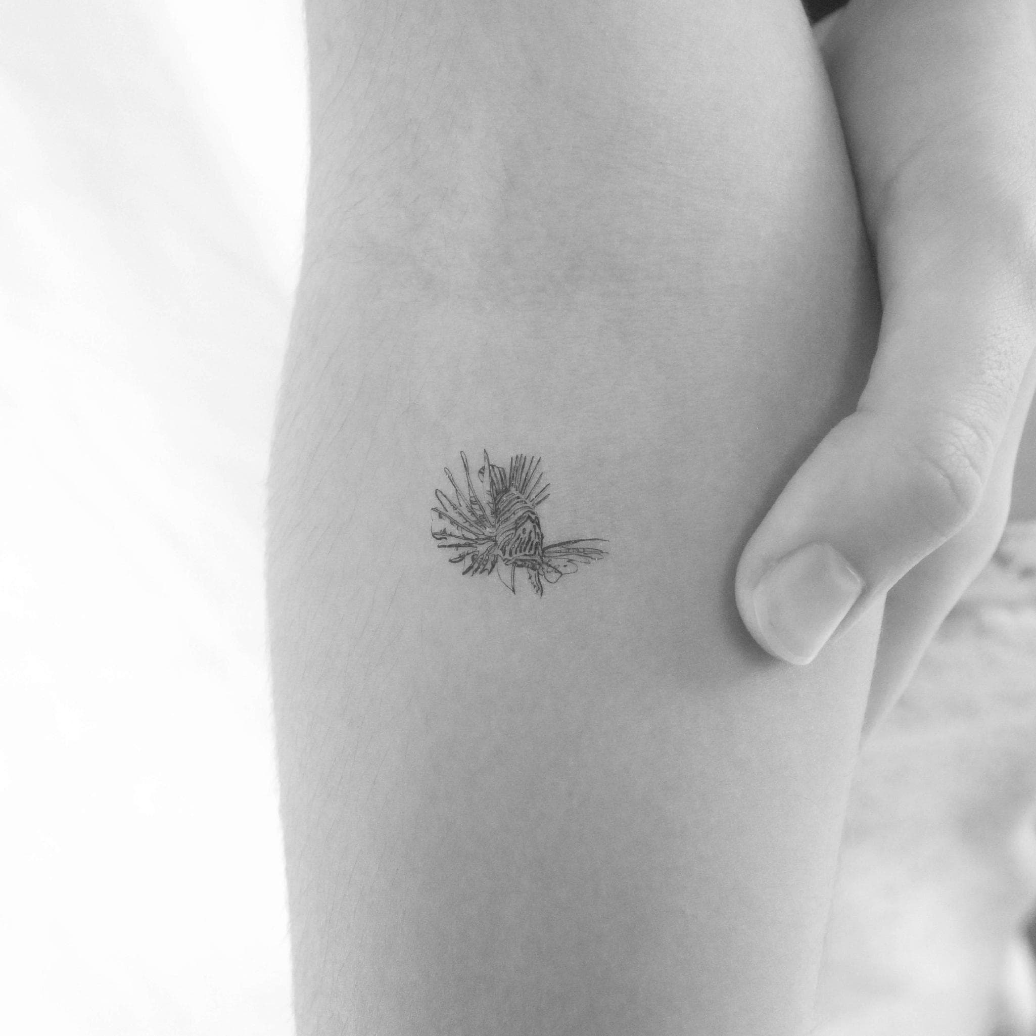 Drachenkopf temporäres Tattoo (3er Set)