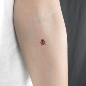 Ladybird Temporary Tattoo (Set of 3)
