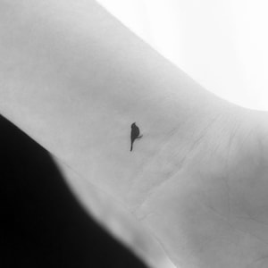 Tijdelijke tattoo staande vogel (set van 3)