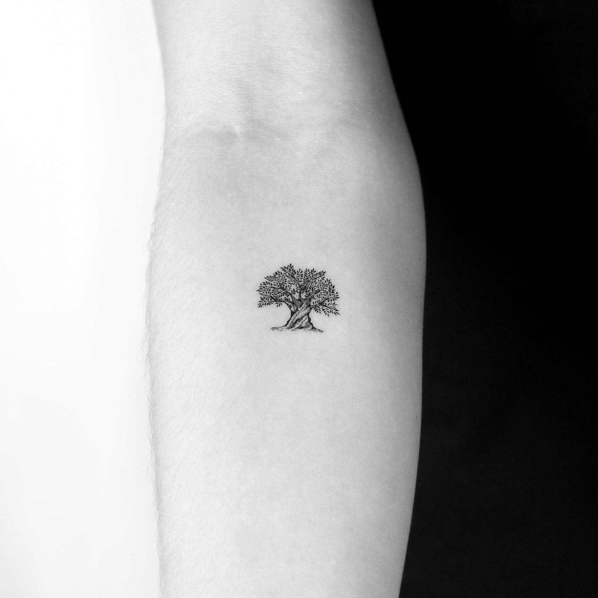 Olivenbaum temporres Tattoo (3er Set) - Etsy.de