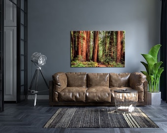 sequoia national park / sequoia / nature print / pine forest / forest art wall / trees/ sequoia poster/ forest park/