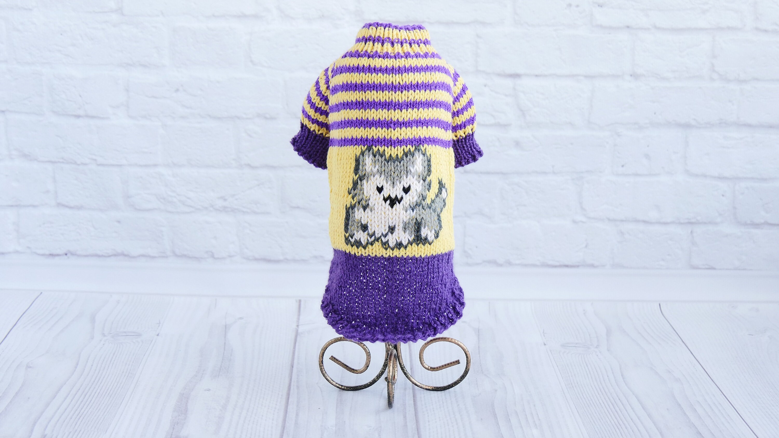 Sweater for kitten Knitted cat clothes Etsy