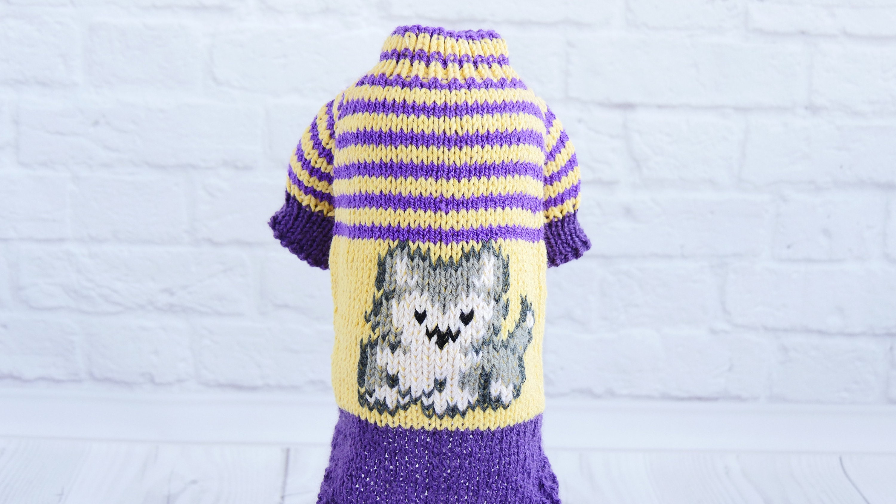 Sweater for kitten Knitted cat clothes Etsy