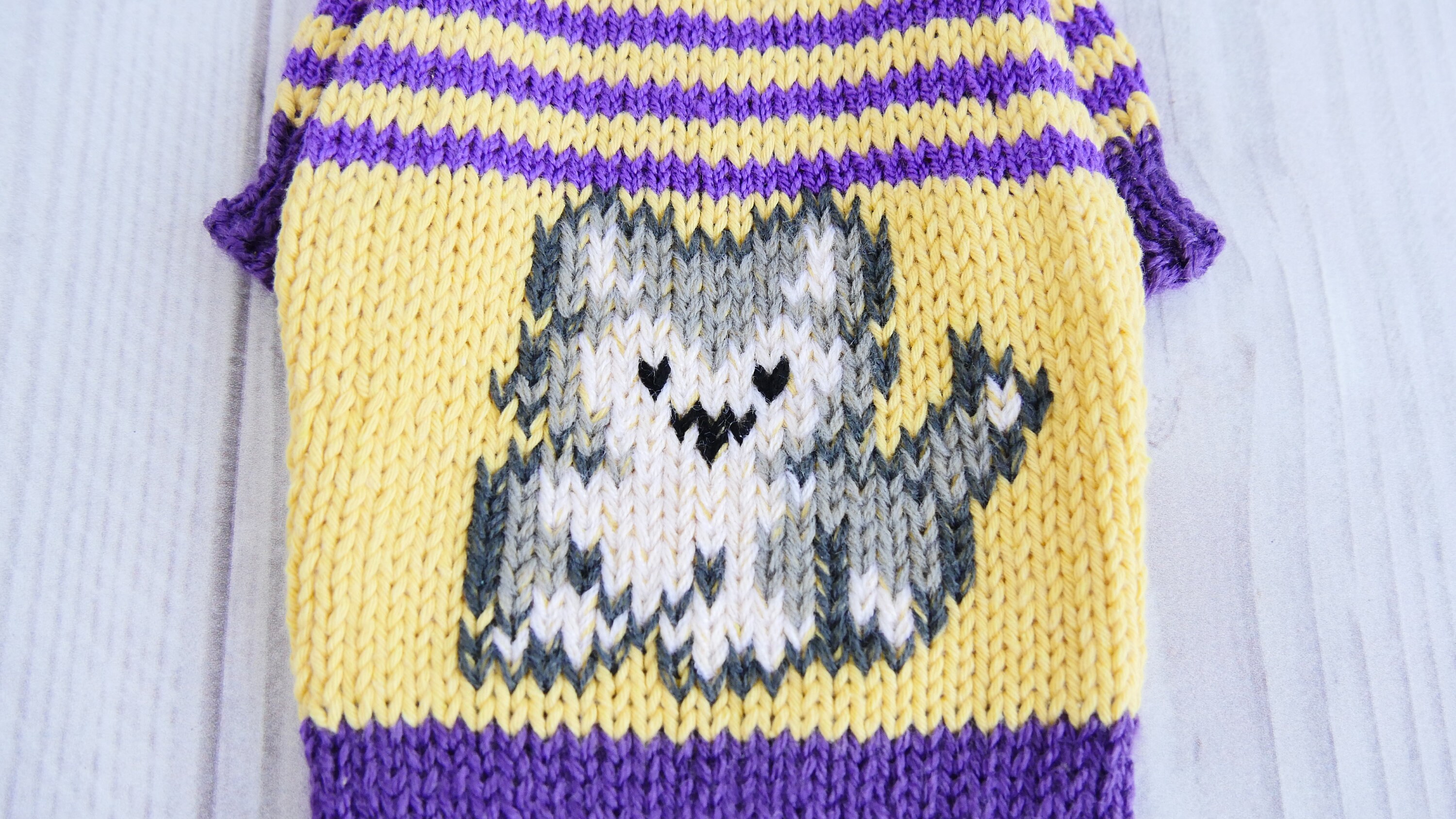 Sweater for kitten Knitted cat clothes Etsy