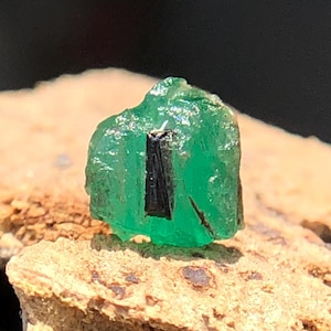 May include: A raw, vibrant green emerald crystal with a dark, rectangular inclusion. The gemstone is set against a rough, tan-colored rock, showcasing its natural, unpolished state. The emerald's color is a rich, saturated green.