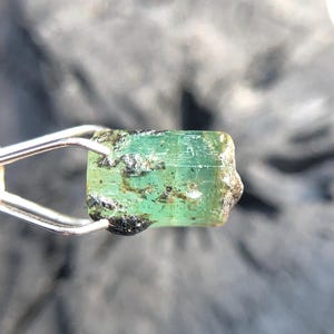 May include: A rough, green emerald gemstone with black inclusions. The emerald is held in a pair of tweezers.