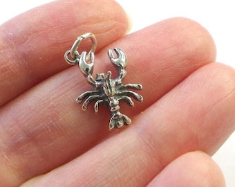 Sterling Silver Crawfish Charm, Nautical Pendant