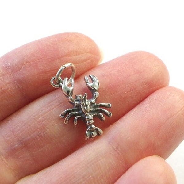 Crawfish charm SILVER, Sterling Silver CRAY fish charm Ocean Nautical Charm Pendant, Made in USA, Sealife, small cray fish charm