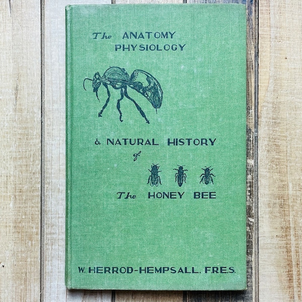 Vintage Bee keeping Bee Keepers Apiary Book On The Anatomy And History Of The Honey Bee