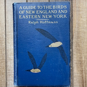 Vintage Bird Watcher Guide Book 1904 A Guide To The Birds Of New England and New York by Ralph Hoffmann ~ Favorite My Store