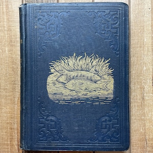 Victorian Fishing Book Bass Trout Salmon 1850s Frank Foresters Fish And Fishing Beautiful Fisherman’s Gift