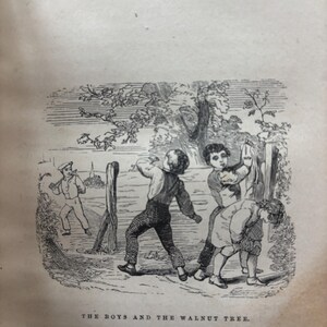 May include: An antique black and white illustration depicts children playing near a tree. One child throws an object, while others are positioned to catch it. The text at the bottom reads "THE BOYS AND THE WALNUT TREE."