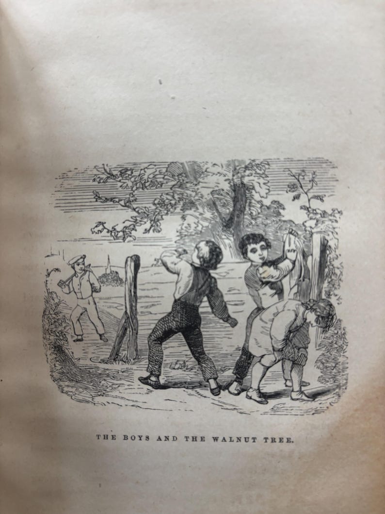 May include: An antique black and white illustration depicts children playing near a tree. One child throws an object, while others are positioned to catch it. The text at the bottom reads "THE BOYS AND THE WALNUT TREE."
