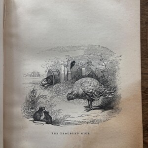 May include: An antique black and white illustration from a book, depicting a turkey and two mice in a field. The text at the bottom reads "The Troubled Mice."