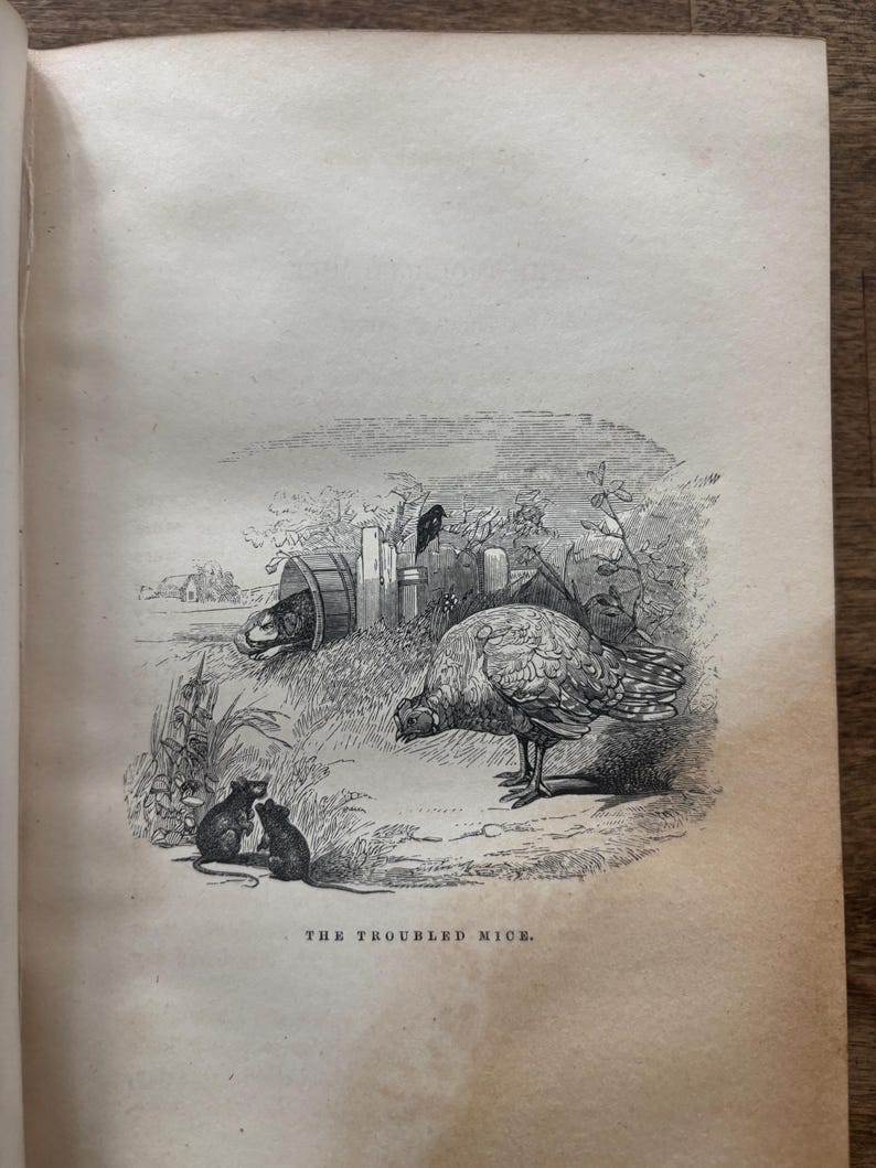 May include: An antique black and white illustration from a book, depicting a turkey and two mice in a field. The text at the bottom reads "The Troubled Mice."