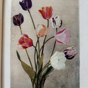 May include: A vintage-style botanical illustration of a bouquet of tulips in a glass vase. The flowers feature various colors including deep purple, orange, pink, white, and variegated petals. Below the image is the text: COLORFUL TULIPS. A spring garden without Tulips is a contradiction in terms. Their colors, size, season of bloom, shape and requirements make them a garden necessity.