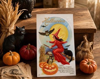 Antique Halloween Postcard Embossed Witch on Broom Black Cat Owls Jack O Lantern Series 216 C Early 1900s LSC Vintage Ephemera Collectible