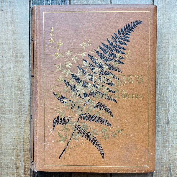 Vintage Poetry Book Art Deco Exquisitely Illustrated 1878Poetical Works of William Cullen Bryant