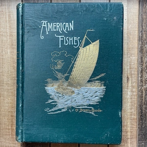 Vintage Salt Fresh Water Fishing Angling Sporting Book 1888 American Fishes Game And Food Fishes