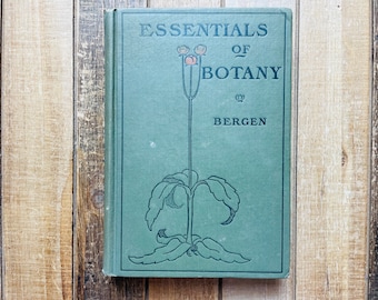 Vintage Wildflower Flowers Herbal Florist Plants and Trees Illustrated Hardcover Book 1908 Essentials of Botany