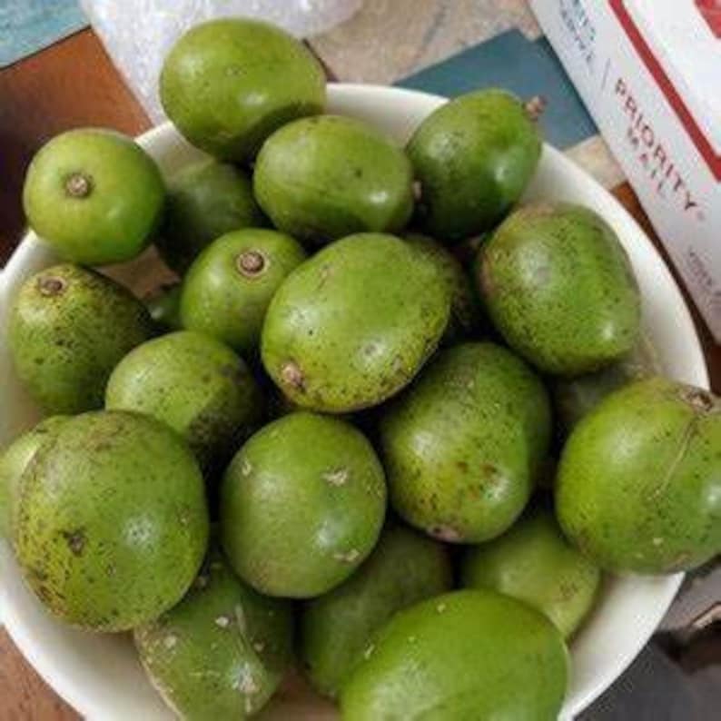 Puede incluir: Un bol lleno de frutas verdes redondas. Las frutas tienen una textura lisa y ligeramente abultada y est&aacute;n dispuestas en un patr&oacute;n aleatorio.