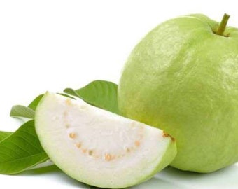Guayaba tailandesa - Blanca - 5 libras - La fruta real